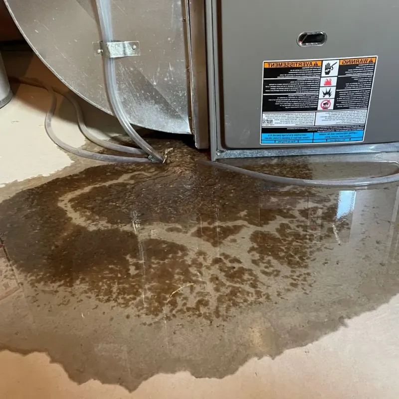 Pipe Burst and Leak Restoration in Hoboken, NJ