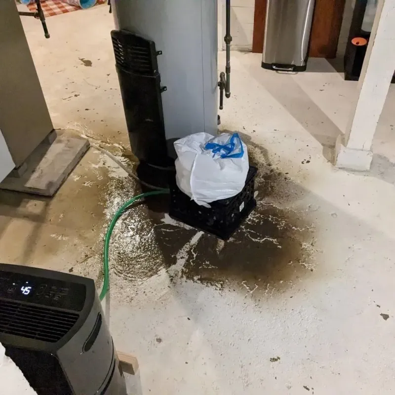Sewage Backup Cleanup Service in Hoboken, NJ